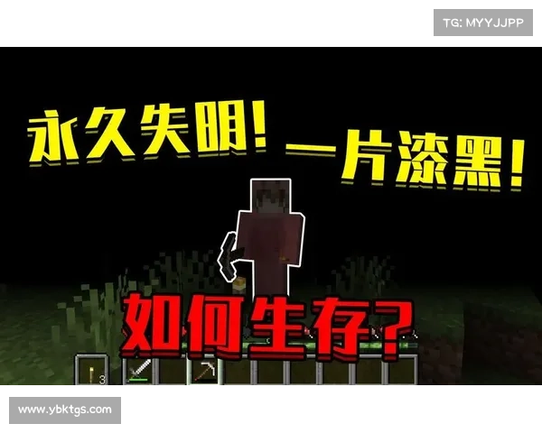 失明者的超感知世界探索与心灵之旅 失明者的超感知世界探索与心灵之旅